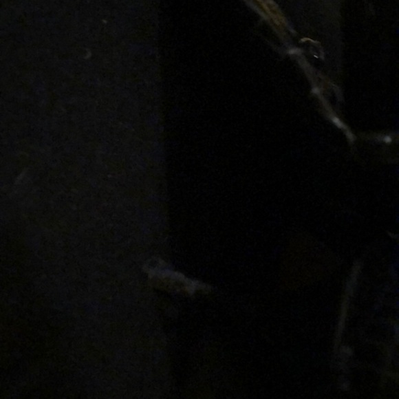 VERO CUROIO patent leather knee boots - Picture 5 of 5